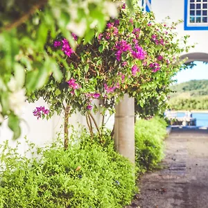 - - Inteiro - Aconchegante - Economico - Prox Do - Centro - Rua Dos Biquinis - Otimo Familia Cabo Frio